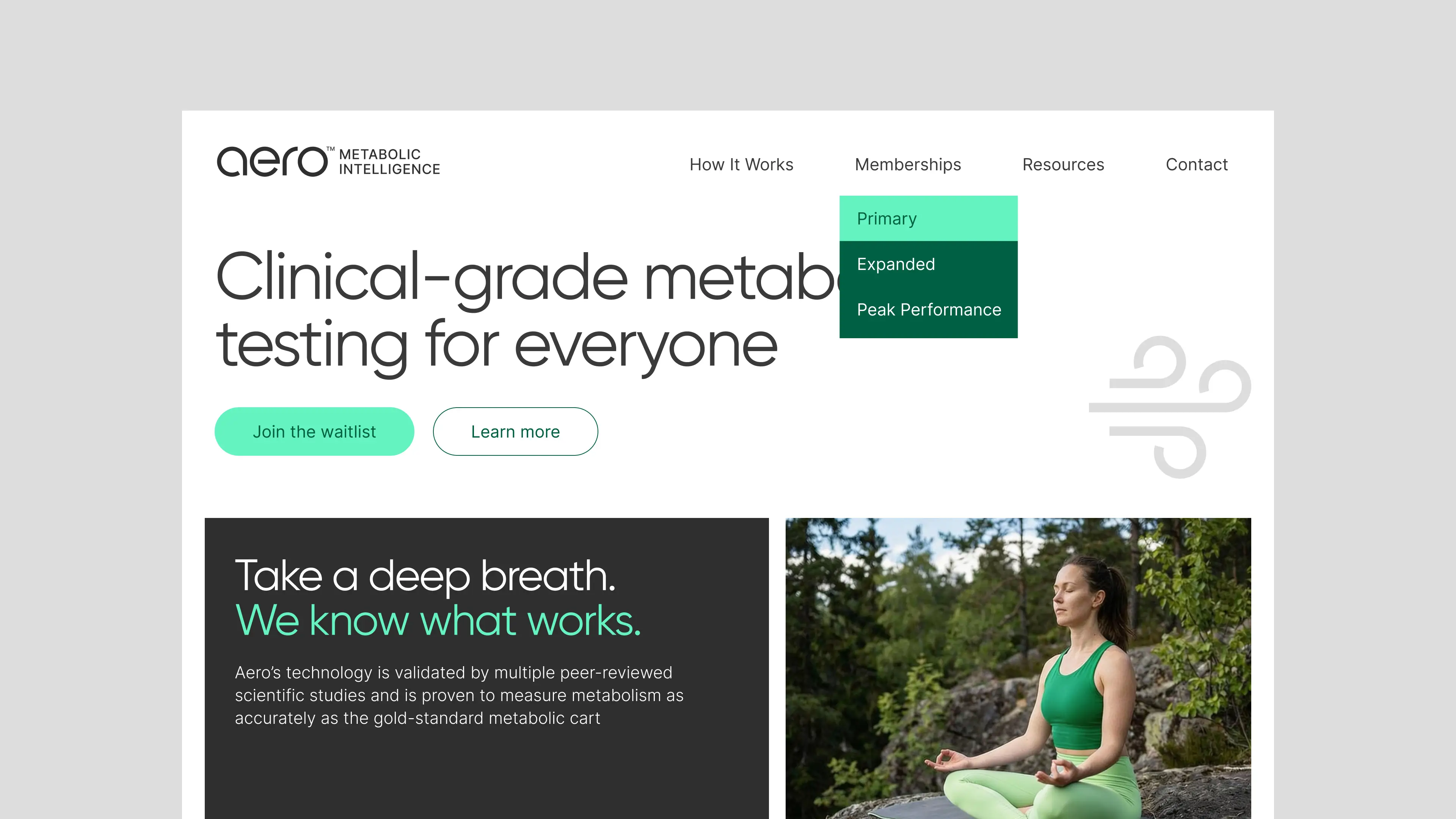 Aero website design