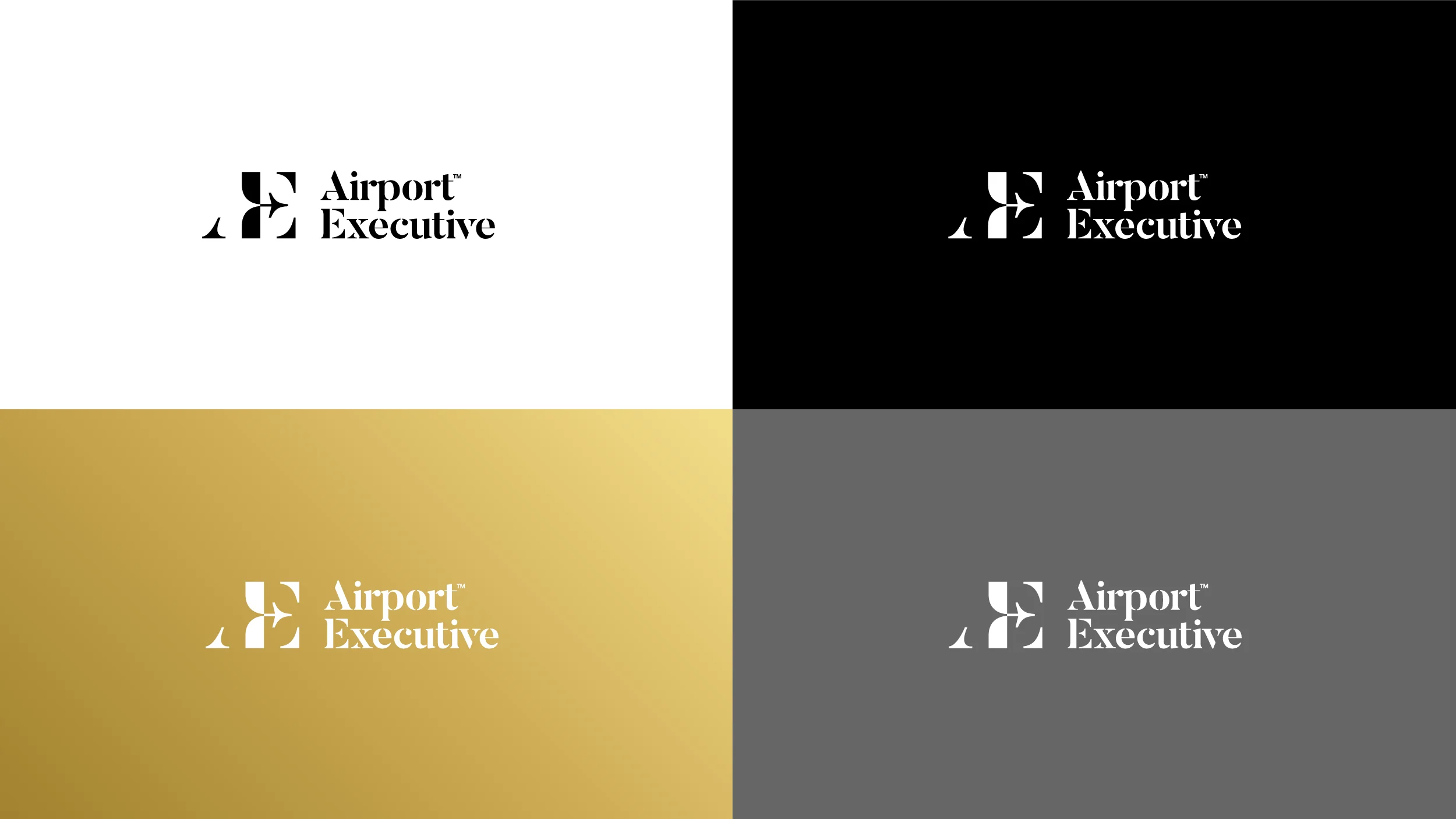 Airport Executive logo system