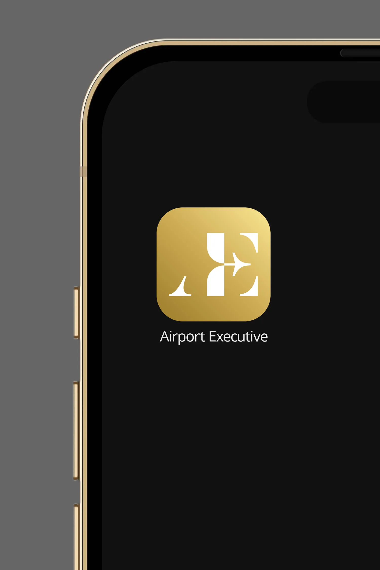 Airport Executive application icon