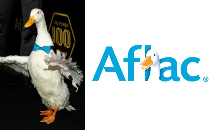 Aflac's brand mascot is a duck, which has become a symbol of security and protection for many customers.
