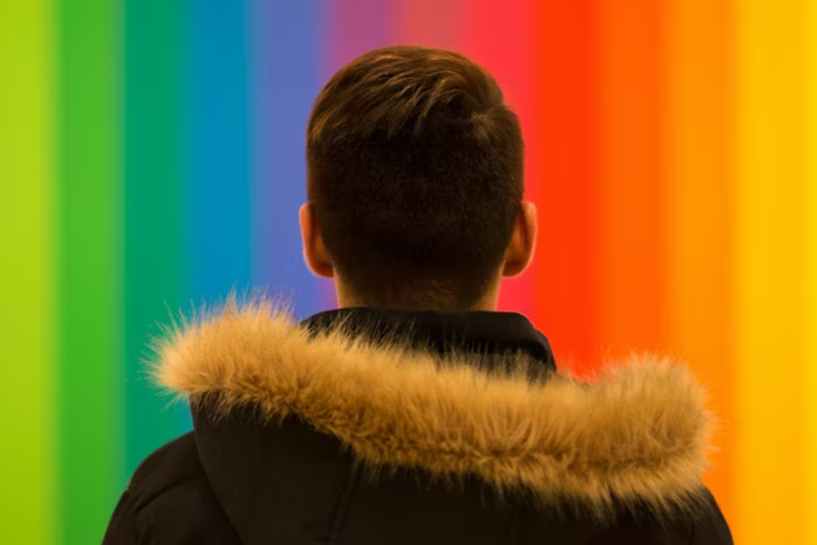 Color Meanings in 2026: The Power of Color in Branding