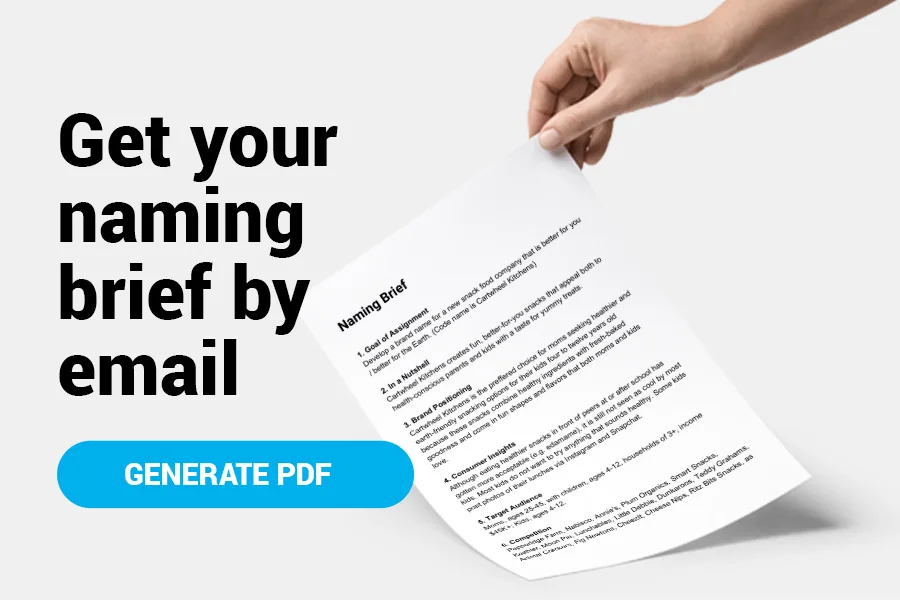 Naming Brief Template PDF