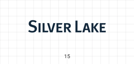 15 Silver Lake logo