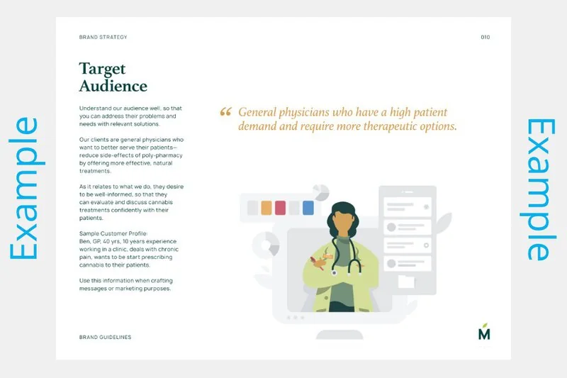 Target Audience Example