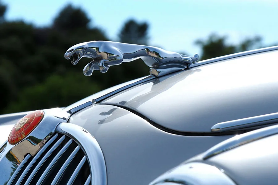 Jaguar logo