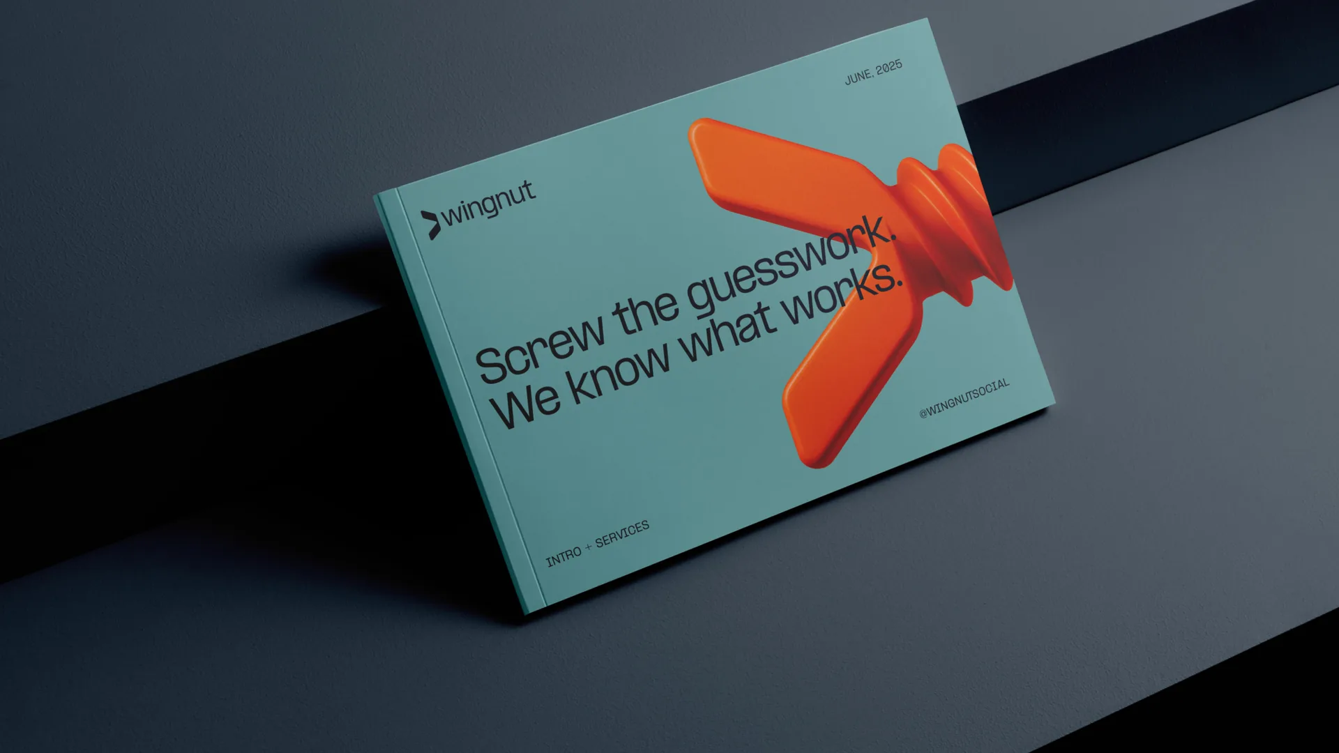 Wingnut Social pitch deck