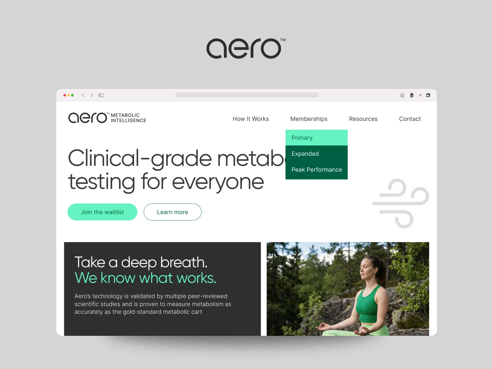 Aero Website