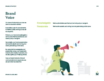 Example Brand Guidelines x3 preview 13