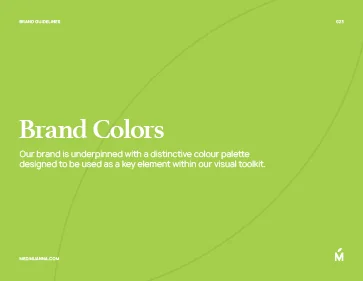 Example Brand Guidelines x3 preview 24