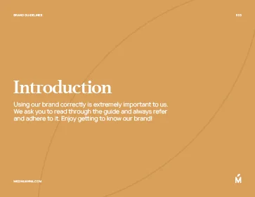 Example Brand Guidelines x3 preview 3