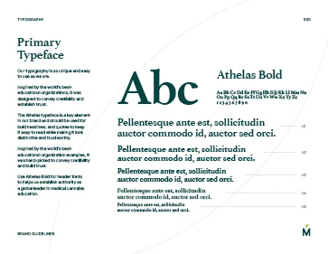 Example Brand Guidelines x3 preview 31