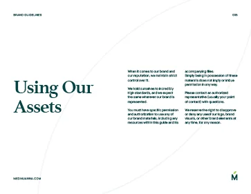 Example Brand Guidelines x3 preview 5