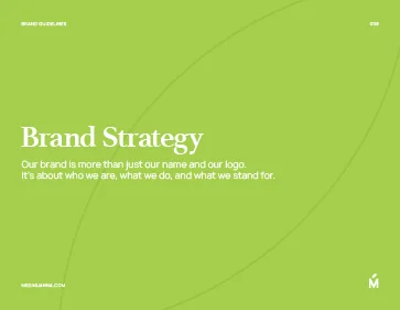 Example Brand Guidelines x3 preview 6